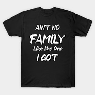 Aint No Family Like the One I Got T-Shirt